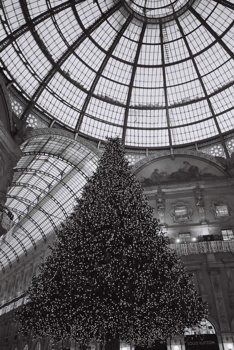 p2006 01 10006112 013m