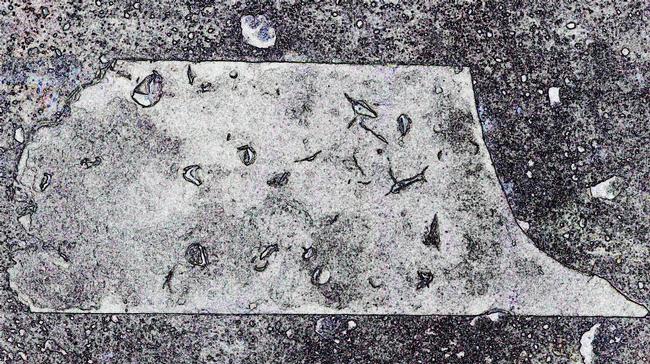 0184706 R1 060 28Am2