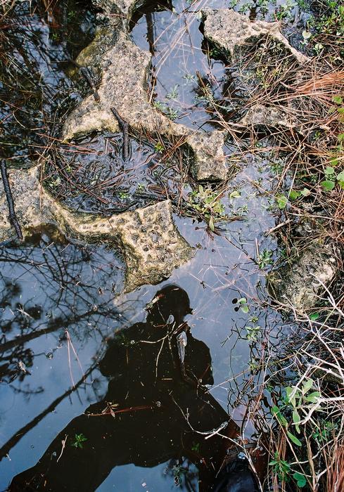 2006 02b 8715 R01 045 21