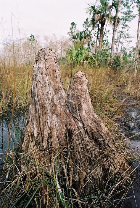 2006 02b 8715 R01 053 25