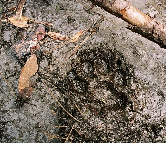 2006 02b 8715 R01 055 26