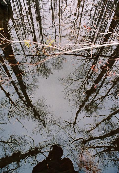 2006 02b 8715 R01 057 27