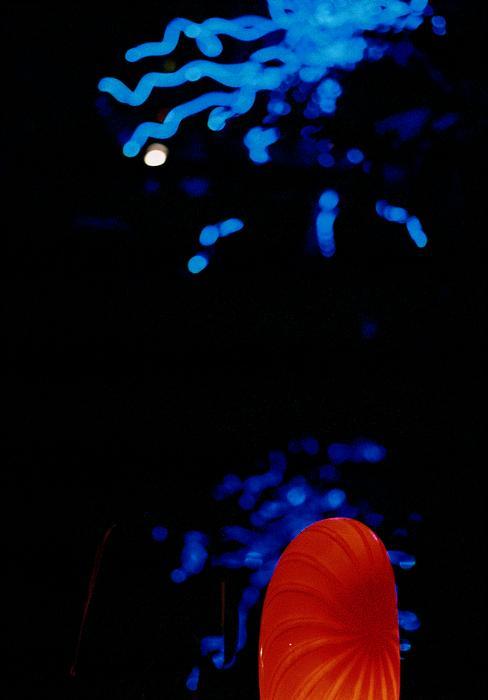 p2006 01 10706105 002m