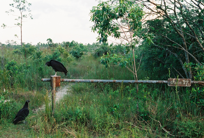 p2006 10b 8112 R01 066 31A