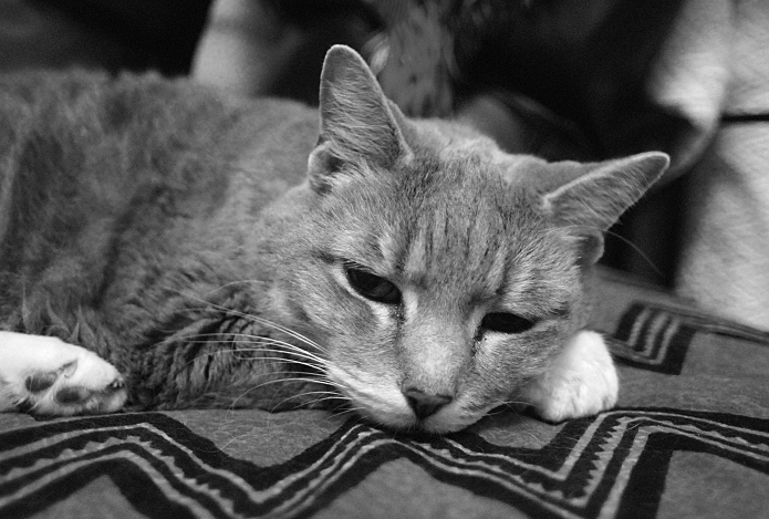 p2007 01 d200 0262m700