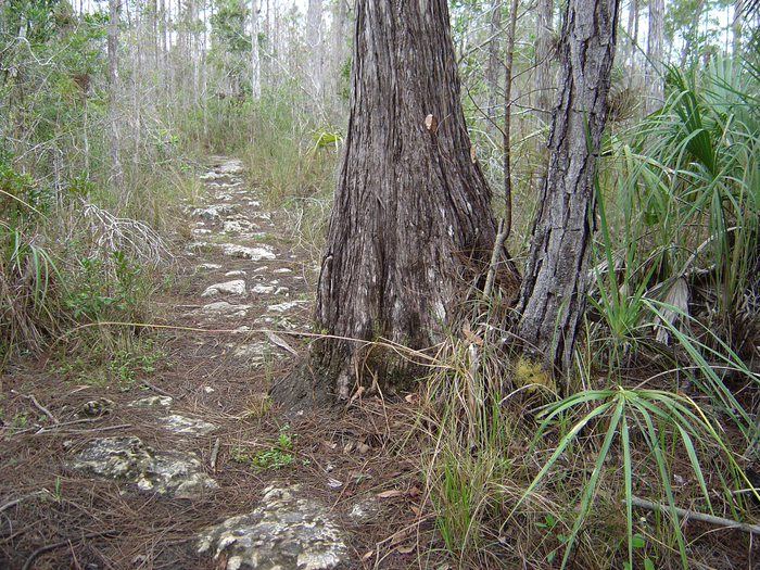 p2007 01 sony 01396m