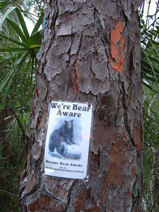 p2007 01 sony 01402m