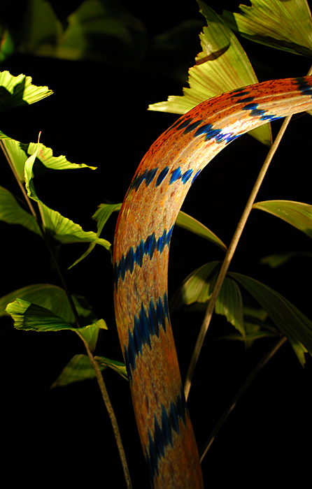 p2007 02 d200 0342m700