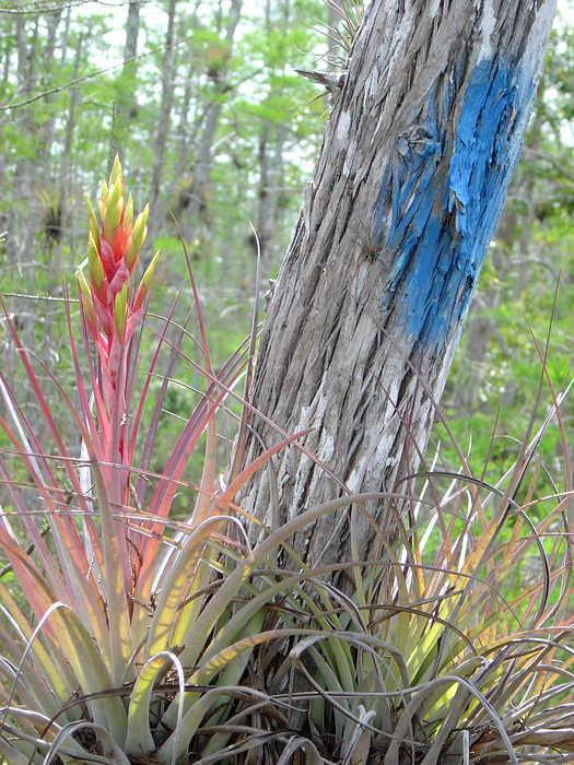 p2007 03 sony 01506m