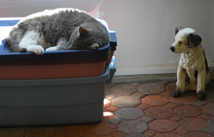 p2007 03 d200 0480m7