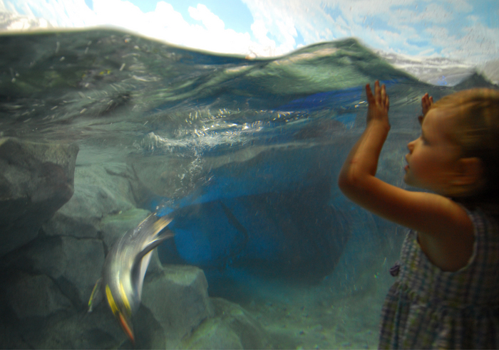 p2007 06 d200 0946m3