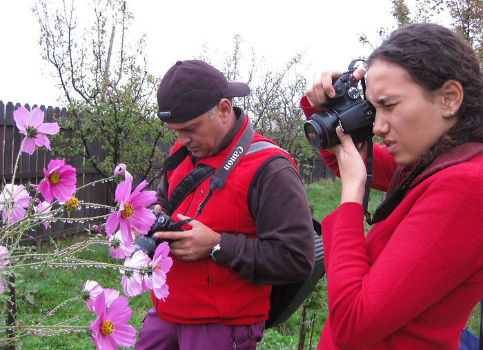 p2008 10b canon 0843m