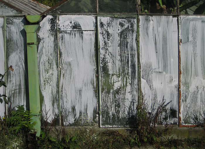 p2008 10b canon 0977m