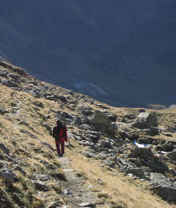 p2008 10b canon 1028m