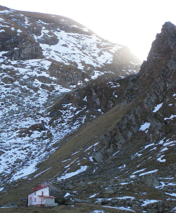 p2008 10b canon 1056m