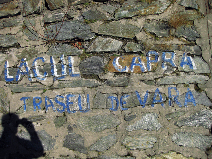 p2008 10b canon 1057m