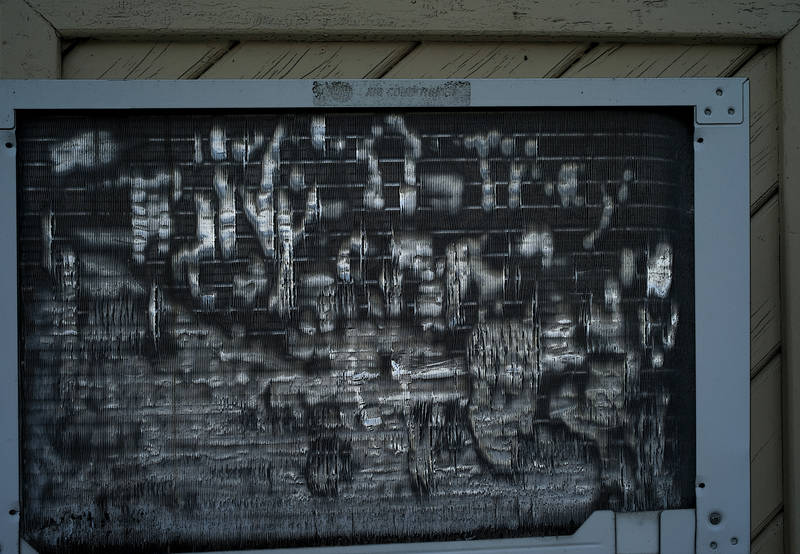 p2009 01 leica 00424mp