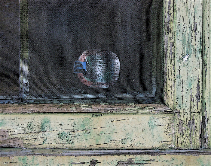 p2009 03 canon 1519m3