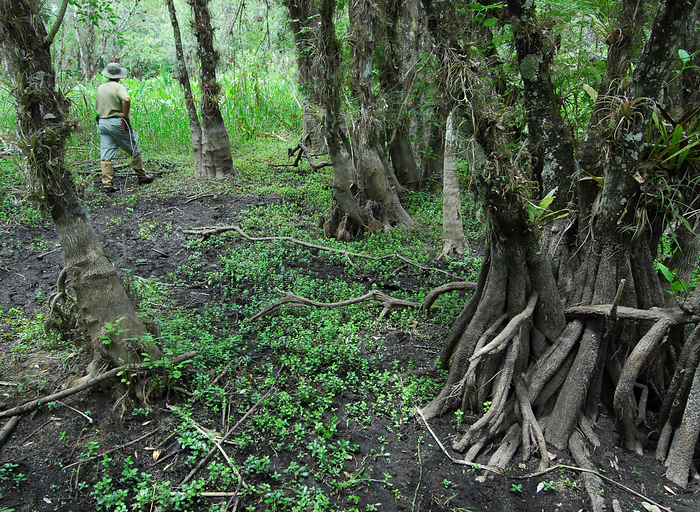 p2009 04 d200b 0078m