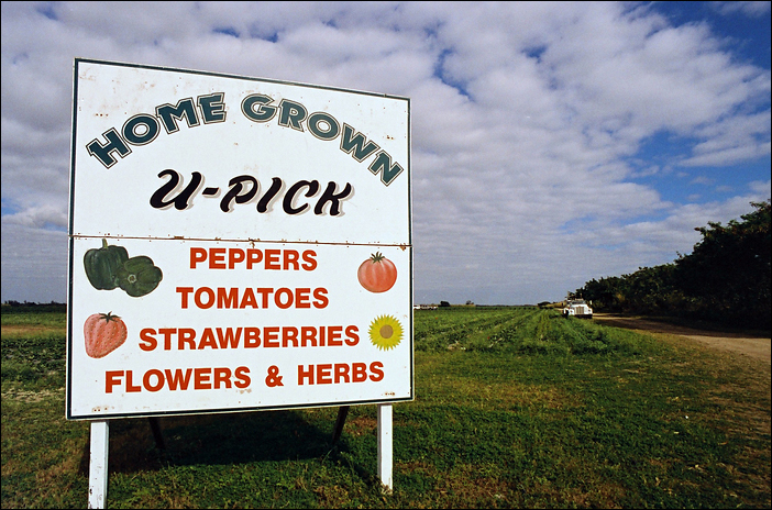 p2009 04 pcc3 85 12m