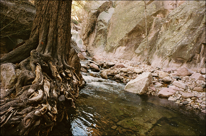 p2009 04 pcc4 34 23Am