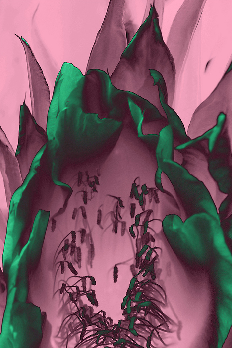 p2009 07 d200 0075m4b