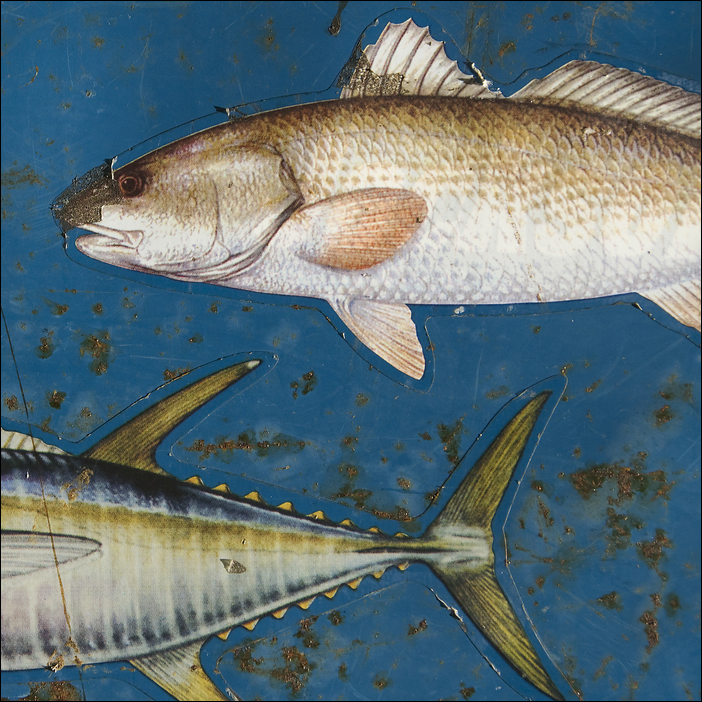 p2009 08b d200 0002m