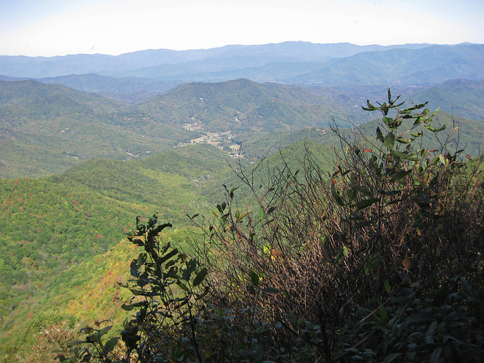 p2009 10 canon 3157m