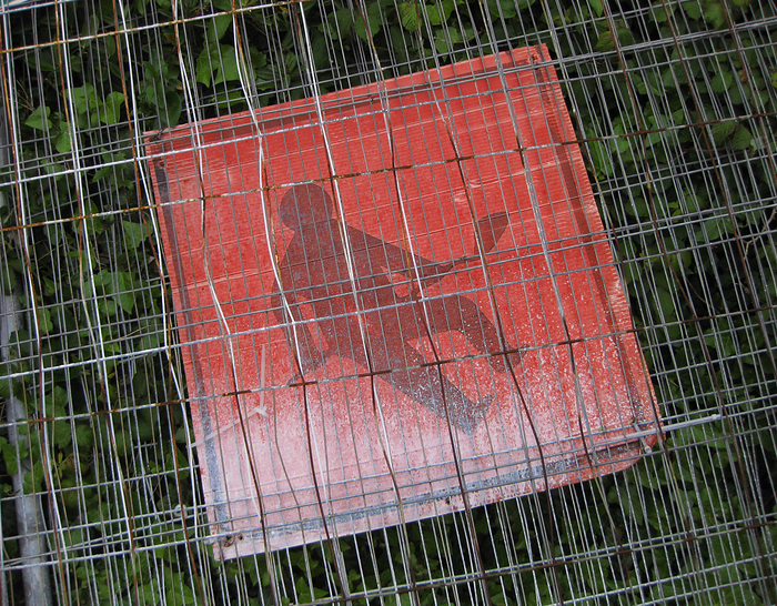 p2009 05 canon 1780m