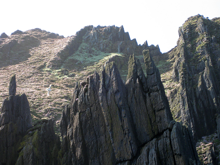 p2009 05 canon 1904m