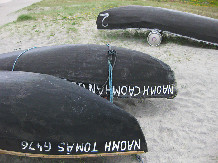 p2009 05 canon 2219m