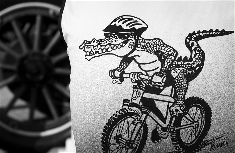 p2011 02 d200 0051mbw