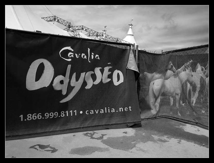 p2012 03 c500 0768mNik