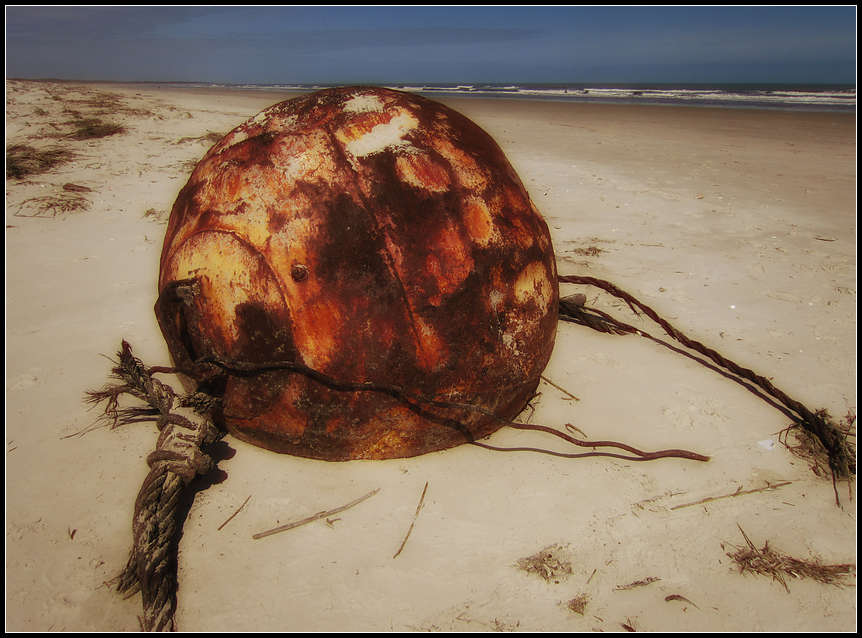 p2012 03 c500b 0833n