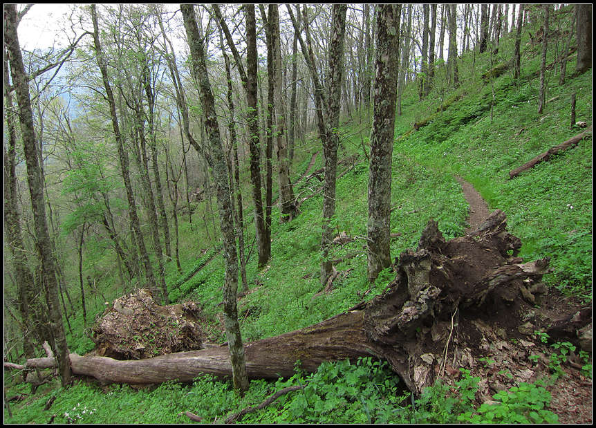 p2013 05 c500 2933m2