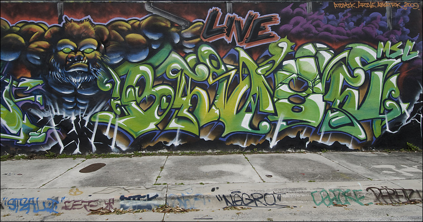 p2009 12 d200 0060m2