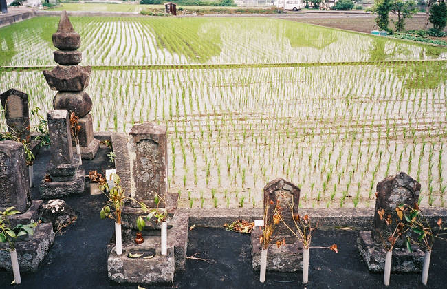 p2006 05d 6569 R01 011 4