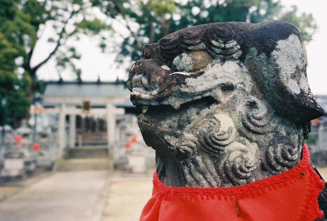 p2006 05d 6569 R01 015 6