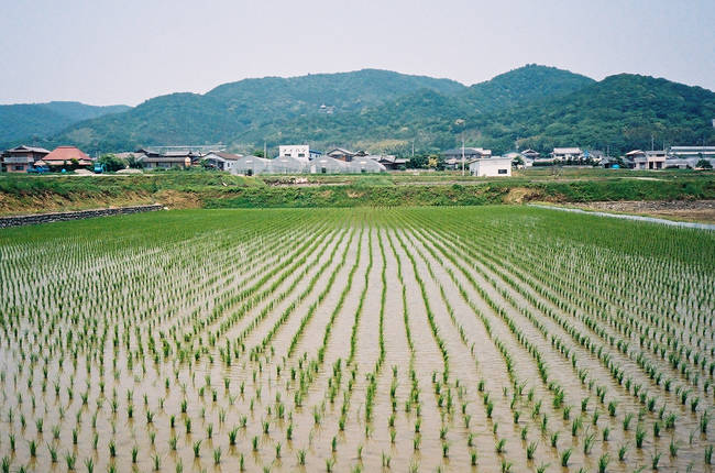 p2006 05d 6569 R01 051 24